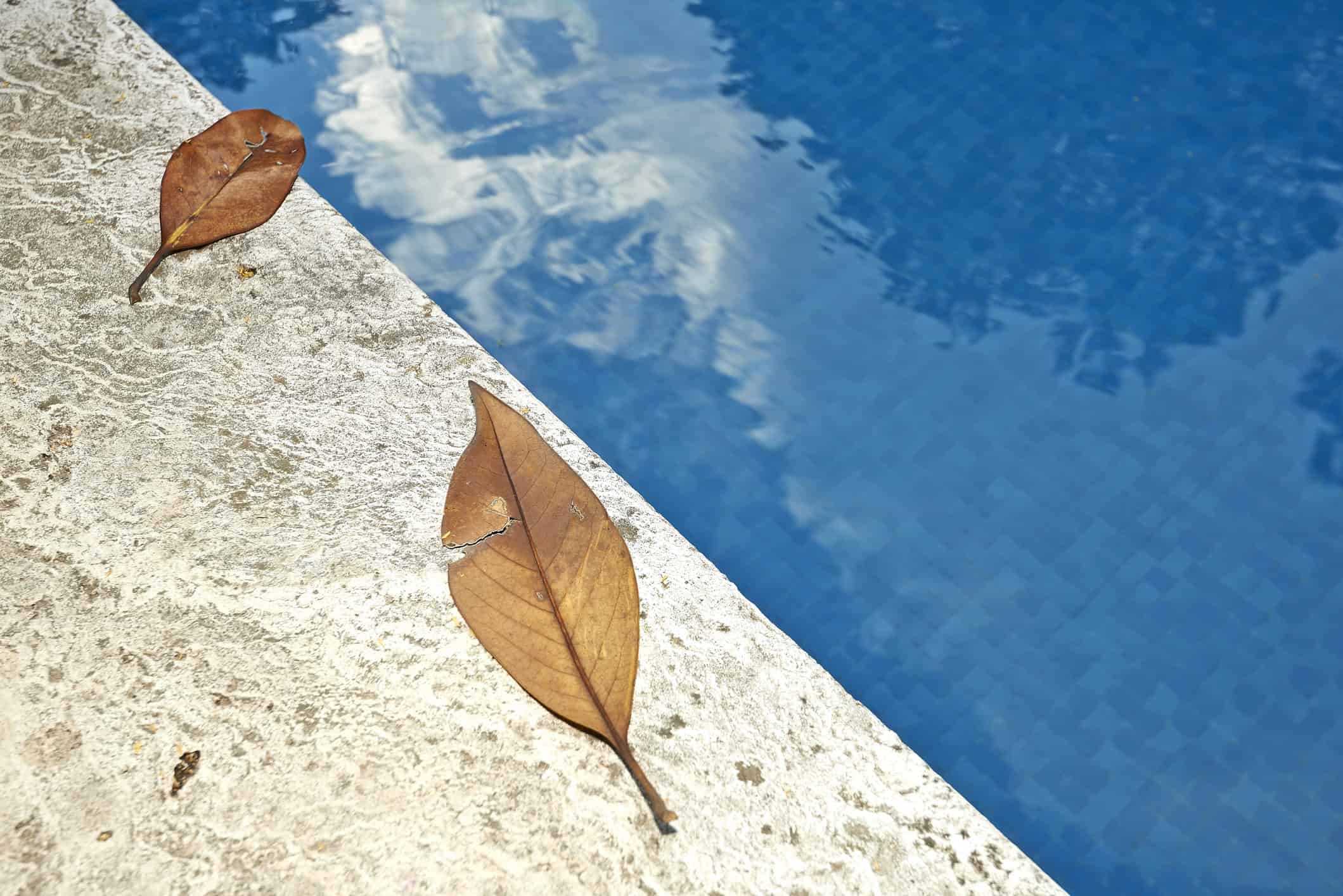 Close up of a few autumn leaves laying on the surface of a full, inground pool. Sites like this and falling temperatures are indicators of when to close your swimming pool in Iowa.